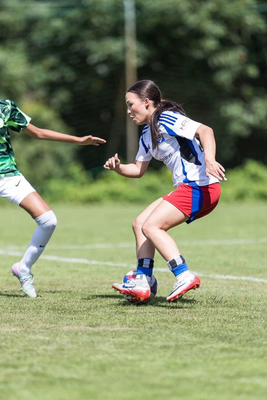 Bild 192 - wBJ Hamburger SV - VfL Wolfsburg : Ergebnis: 5:1